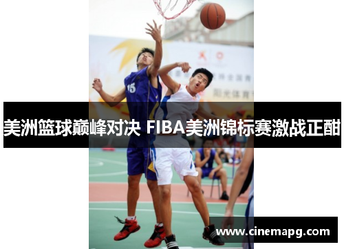 美洲篮球巅峰对决 FIBA美洲锦标赛激战正酣 美洲篮球巅峰对决 FIBA美洲锦标赛激战正酣